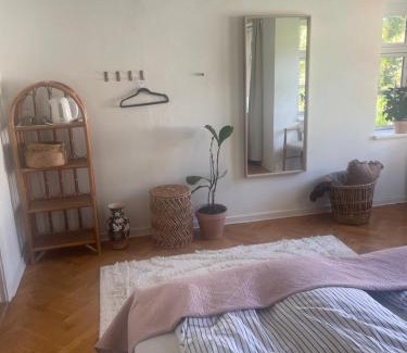 Odense House | Stort værelse udlejes i herskabslejlighed midt i Odense by
