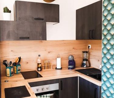 Greoux-les-Bains Apartment | STUDIO ÉLÉGANT & MODERNE - ENTRE LAVANDE ET GORGES DU VERDON