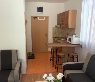Ruzomberok Apartment | Studio 101 Fatrapark 1 Ružomberok
