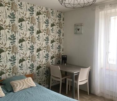 La Roche-sur-Yon Apartment | Studio 20 m2-Proche gare