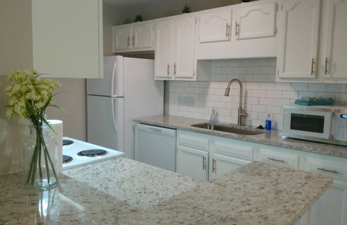 Pine Forest Apartment | Studio 415 ~ Convenient 1st Floor with Accessible Self Check-in