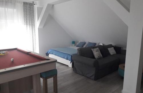 Breznik Plesivicki Apartment | Studio apartman Zagreb Horvati