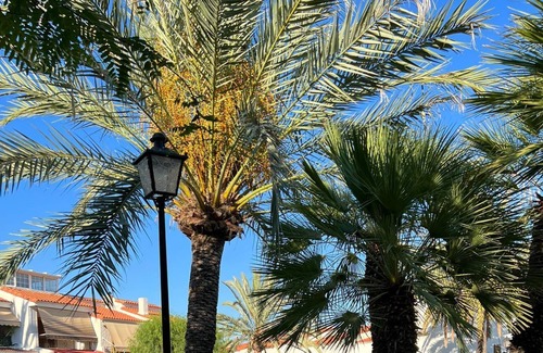 Santa Pola Apartment | Studio Apartment 'Bungalow En Santa Pola Del Este' with a view of the mountains