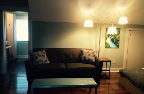 Historic Montford Apartment | Studio Apt in Ca 1905 walk to Dwntn Asheville 30 Day Minimum