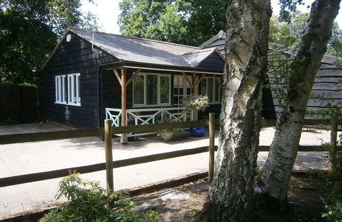 New Forest District House | Studio Barn In The New Forest