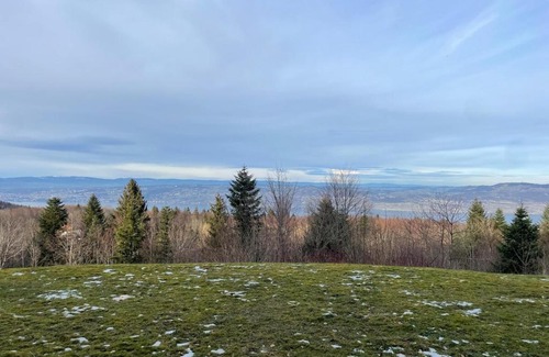 Thollon-les-Memises Apartment | Studio Bleuets du Léman vue sur lac