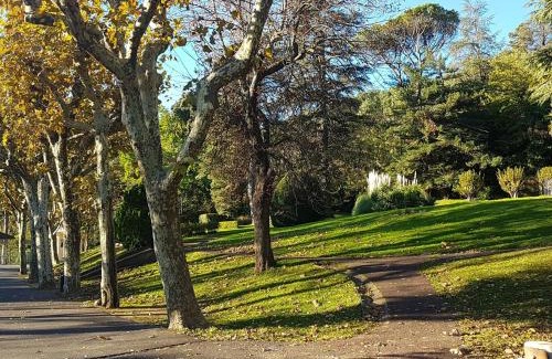 Lamalou-les-Bains Apartment | Studio cosy proche Thermes et centre-ville avec terrasse, animaux acceptés – Lamalou-les-Bains - FR-1-451-67