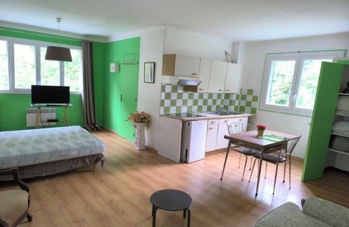 Prats-de-Mollo-la-Preste Apartment | Studio n°3