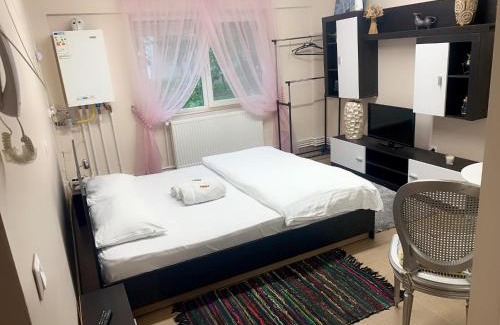 Satu Mare Apartment | Studio Gaby