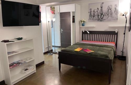 Aigues-Mortes Medieval City Apartment | Studio indépendant, patio, intra-muros , clim, parking