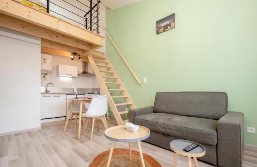 Issoire Apartment | Studio mezzanine "chaumiane" proche de la gare
