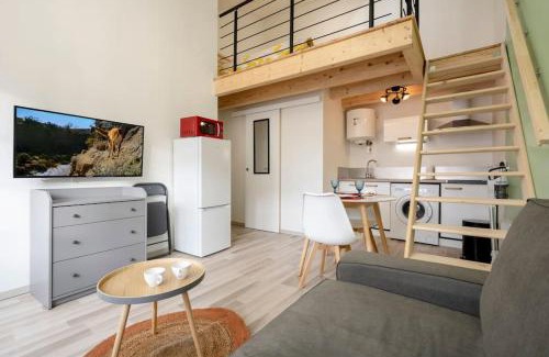 Issoire Apartment | Studio mezzanine "chaumiane" proche de la gare
