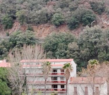 Amelie-les-Bains-Palalda Apartment | Studio N1 Appartement Hotel Combes