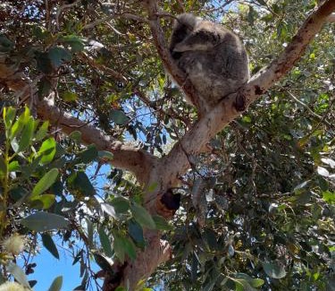 Boston Apartment | Studio on Wakelin
