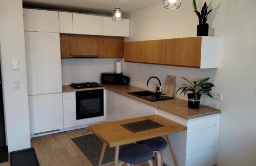 Chorzow Apartment | Studio Park Śląski m.10 Katowice/Chorzów