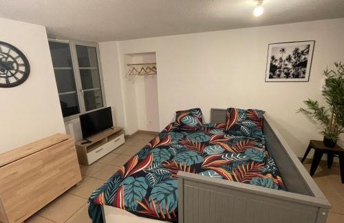 Dole Apartment | Studio rénové au calme