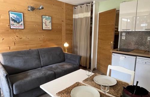 Samoens Apartment | Studio rénové au centre village avec balcon et parking - FR-1-624-180
