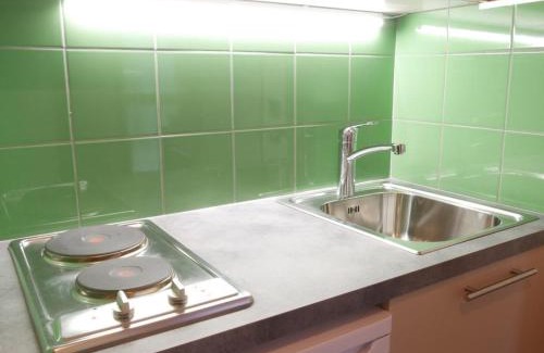 Montchavin Apartment | Studio rénové Montchavin - 2 pers, proche pistes et commerces, terrasse sud/ouest - FR-1-329-40
