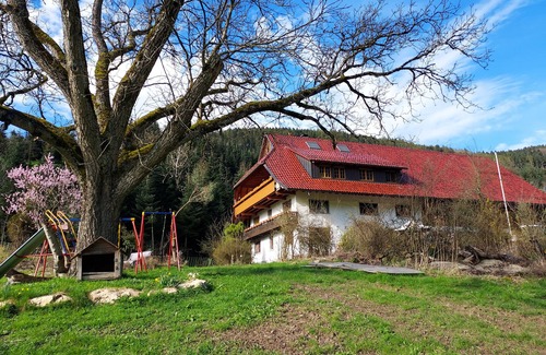 Zell am Harmersbach Apartment | Studio 'Rehblick' with Shared Garden and Wi-Fi