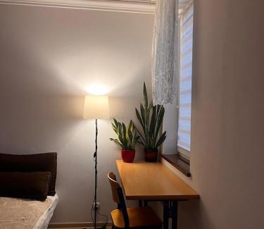 Dzierzoniow Apartment | Studio w centrum miasta