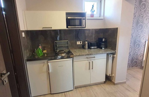 Heviz Apartment | Studio with air conditioning and internet near the city center