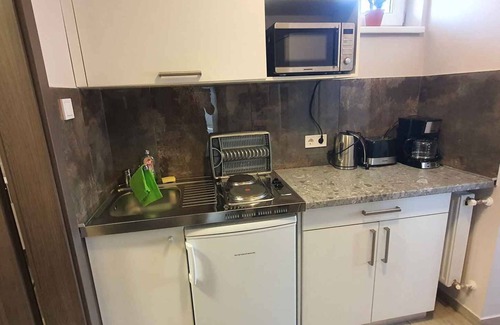 Heviz Apartment | Studio with air conditioning and internet near the city center