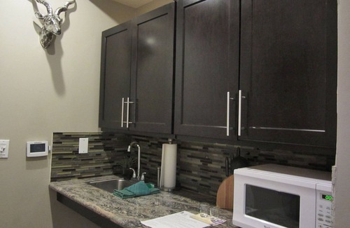 Lakeside Park Cabin | Studio with larger kitchenette, fireplace, and nearby attractions