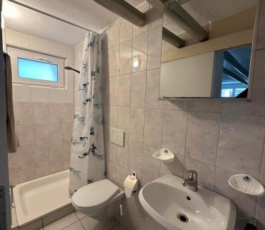 Wildegg Apartment | Studio-Wohnung 4
