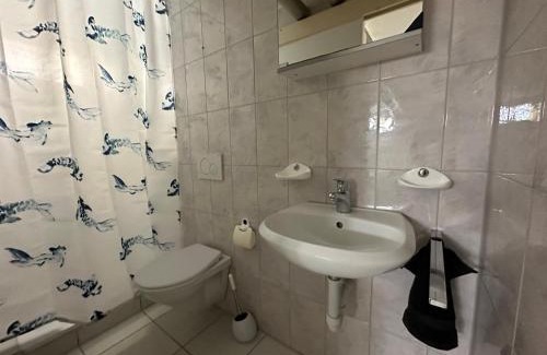 Wildegg Apartment | Studio-Wohnung 4