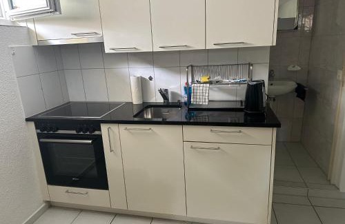 Wildegg Apartment | Studio-Wohnung 4