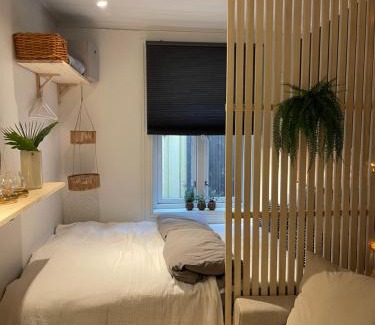 Trondheim City Centre Apartment | Studioleilighet midt i Trondheim