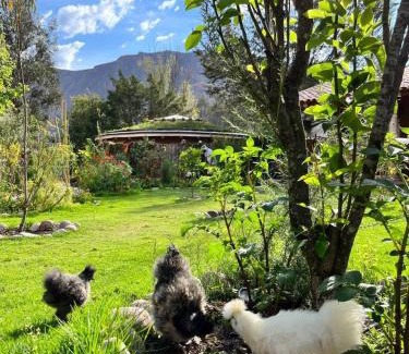Urubamba House | Stunning 1BR House in Camino Real