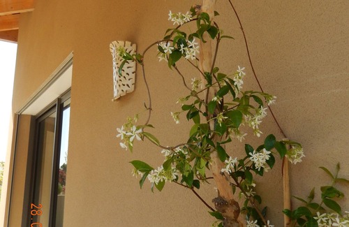 Alleins Villa | STUNNING ARCHITECT DESIGNED NEW VILLA WITH PRIVATE POOL - HEART OF PROVENCE
