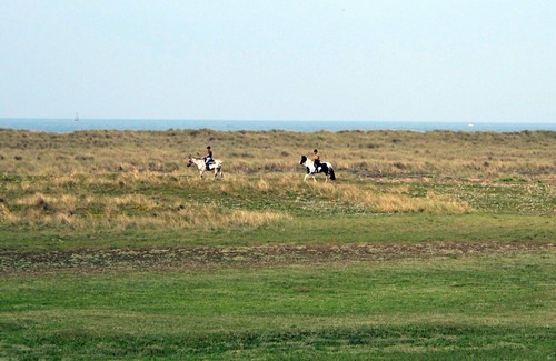 Agon-Coutainville House | Stunning private villa for 12 people with TV, terrace and pets allowed