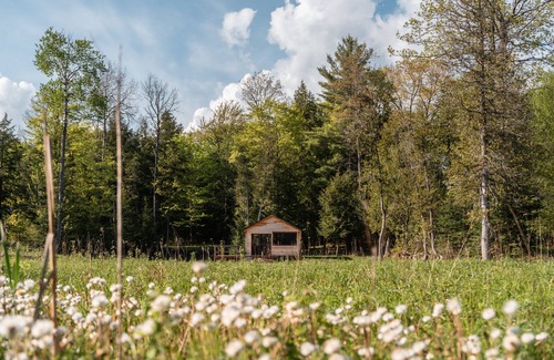 Bobcaygeon Cottage | Stunning Private Resort on 15 Acres w/Cabin - Hot Tub, Paddle Boards, Fire Pit
