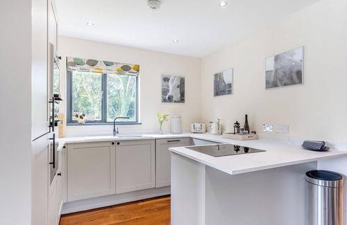 Menai Bridge Ski Chalet | Stunning two storey contemporary lodge on the edge of the lake.