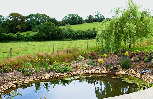 Dursley Cottage | Stunning views, great location, lovely outdoor space, 1 small dog welcome.