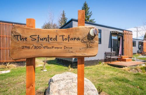 Twizel House | Stunted Totara, Unit 4