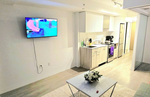 Downtown Toronto Apartment | Stylish luxe Apartment one bedroom with one sofa bed