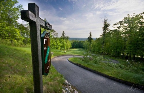 Iron Mountain Condo | Stylish Mountain Haus Condos | Nature Getaway