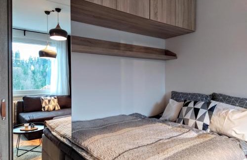Janske Lazne Apartment | Stylový apartmán přímo u lanovky, vlastní garážové stání