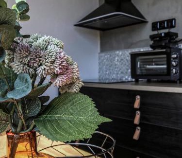Janske Lazne Apartment | Stylový apartmán přímo u lanovky, vlastní garážové stání