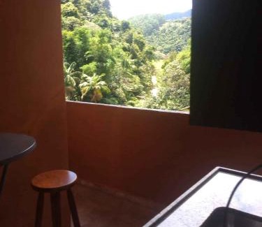 Sao Pedro da Serra House | Suíte WILVIT