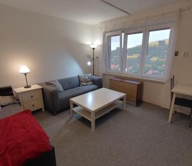 Susice Apartment | Sušice apartmán 18