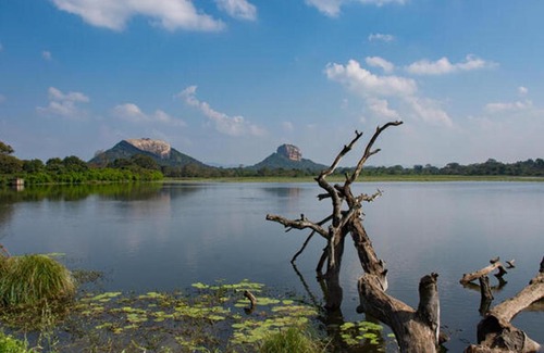 Sigiriya House | Suba Home Stay