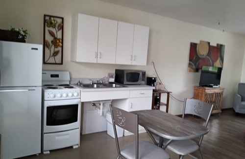 Helena Apartment | Suite 33 - Queen Suite W/Walk-In Shower