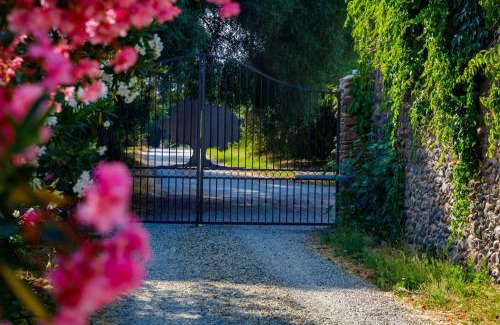 Tarcu House | Suite du Domaine Marquiliani