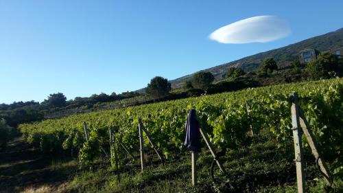 Passopisciaro House | Suite in vigneto