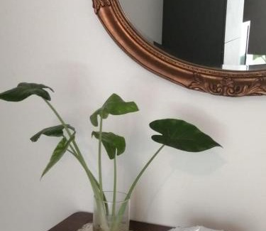 Vairano Scalo Apartment | Suite Petit