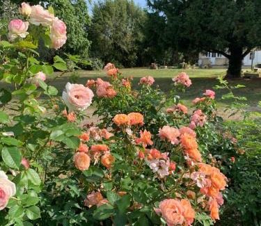 Ambares-et-Lagrave Bed & Breakfast | Suite privative Abella - Aile de maison bourgeoise